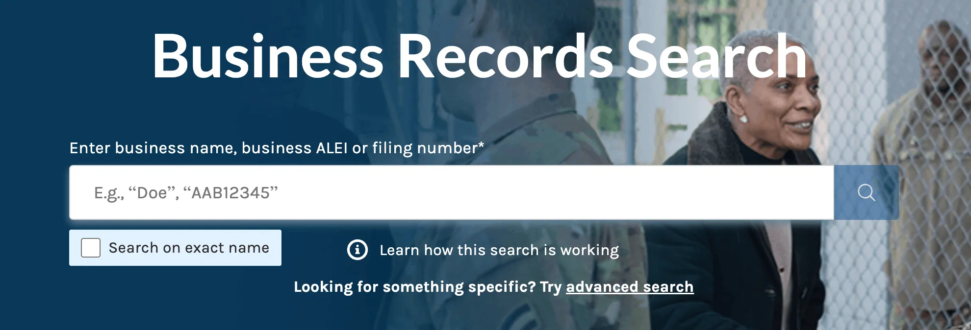 Connecticut Secretary of the State Business Records Search page