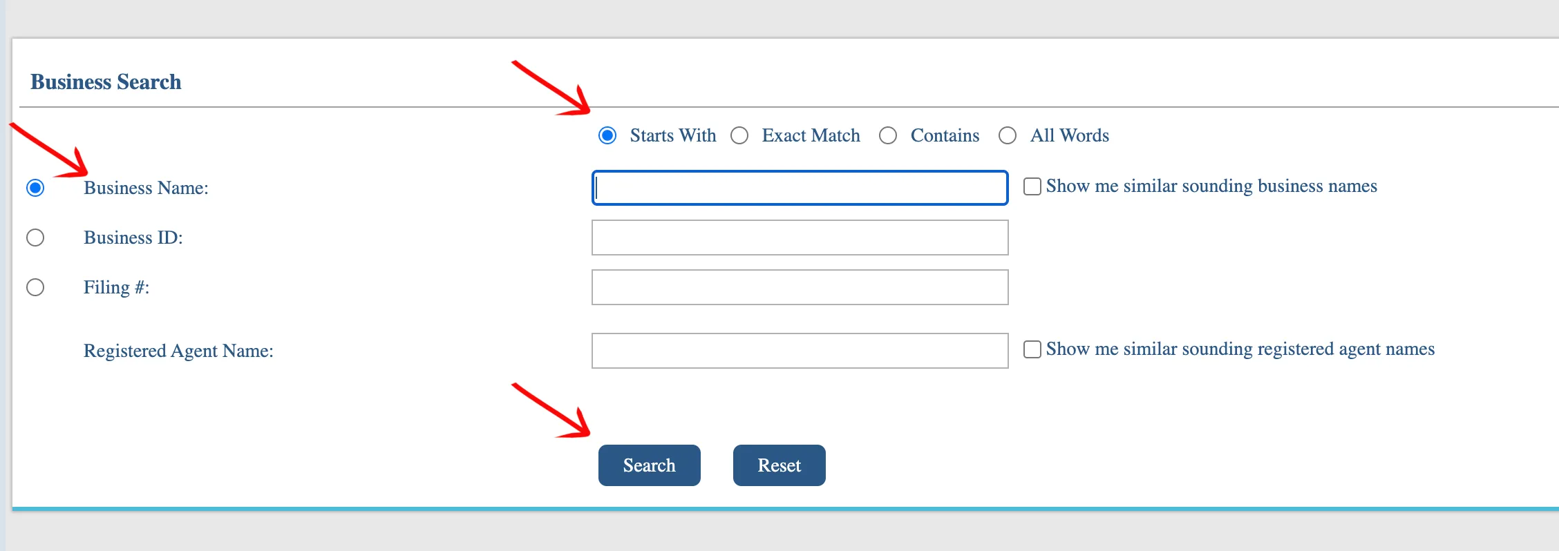 New Hampshire search page showing query fields and criteria radio buttons