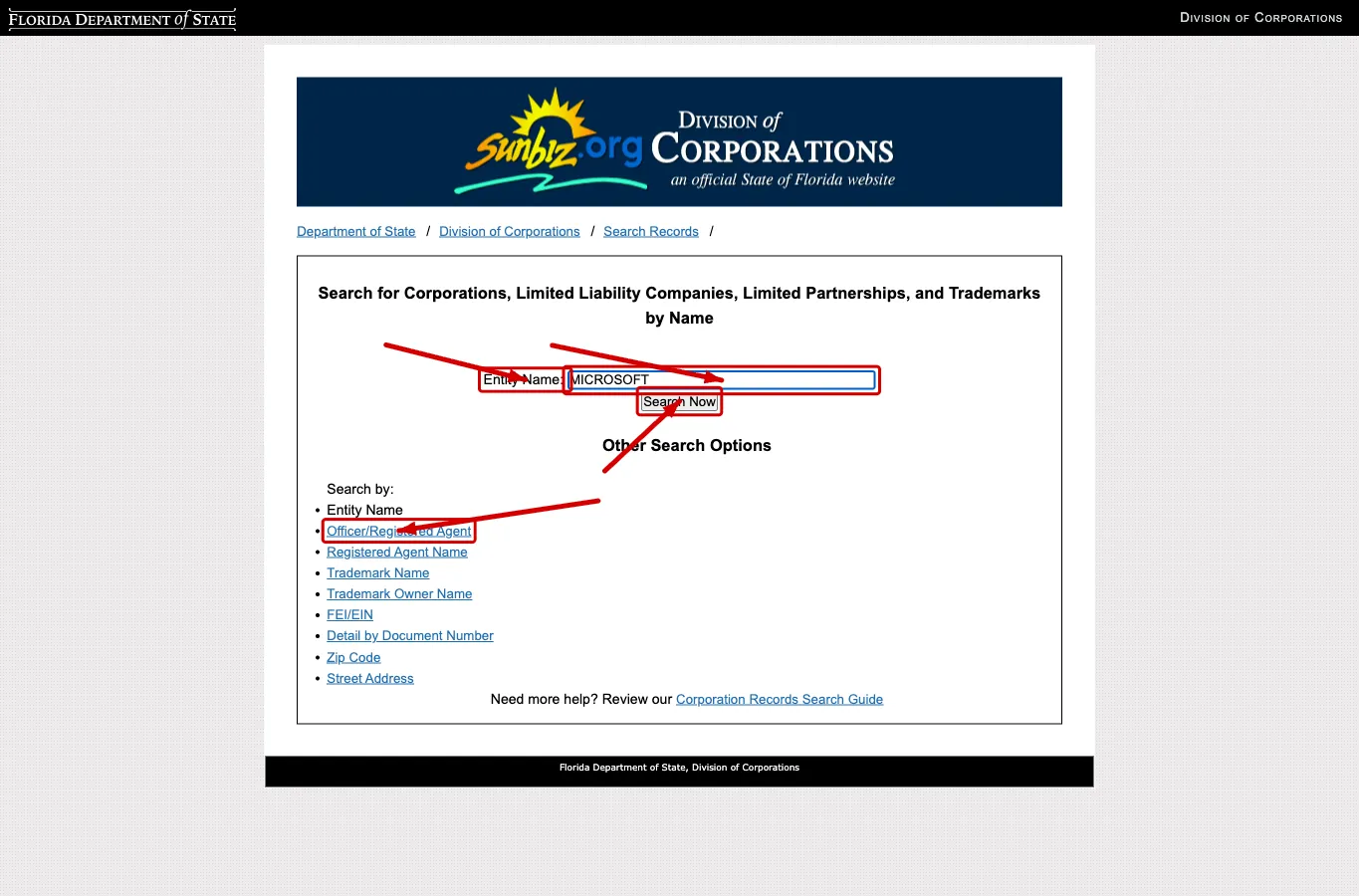 Florida entity search form with search criteria options