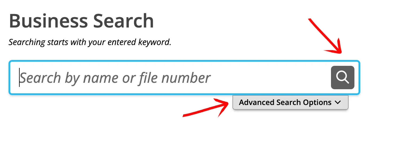 Idaho SOSBiz search box with the magnifying glass search button and advanced search control