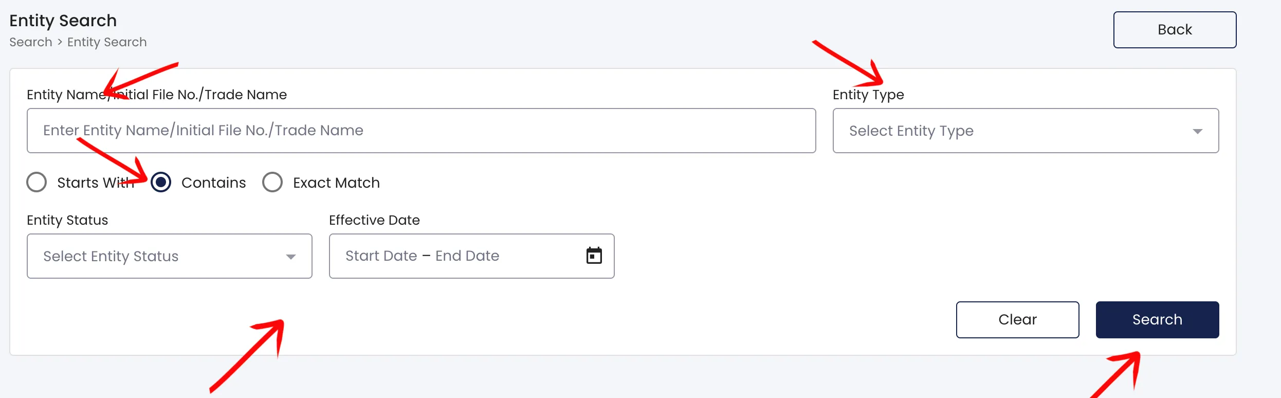 District of Columbia search filters for entity type, status, and effective date