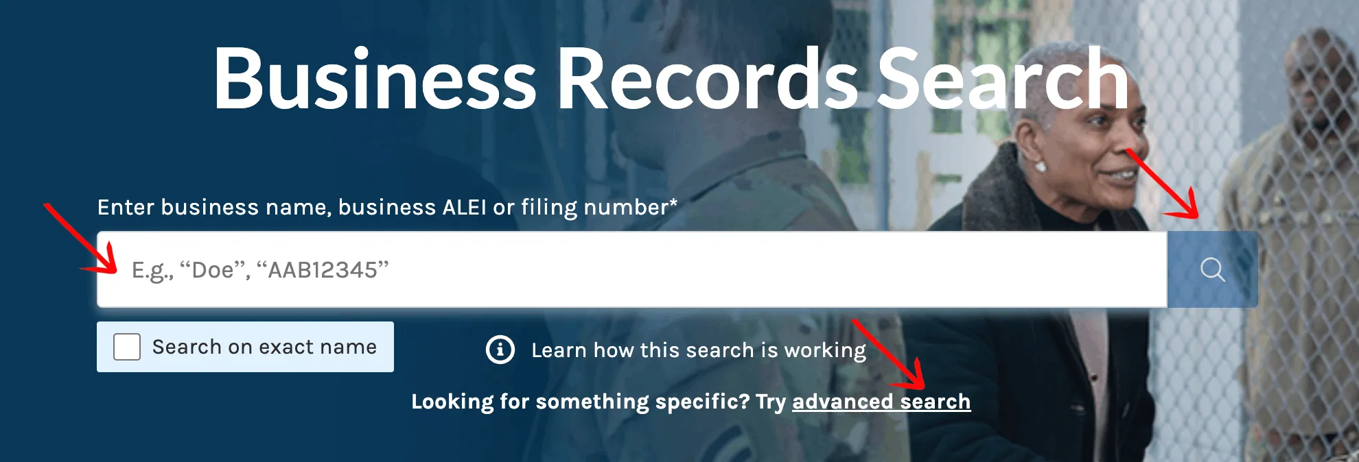 Connecticut business records search box with exact match option
