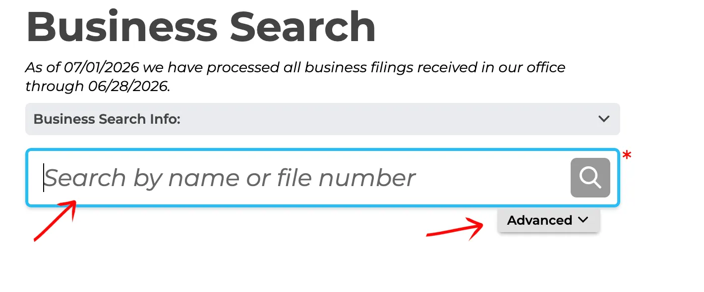 Pennsylvania search portal options displaying simple query and advanced filters