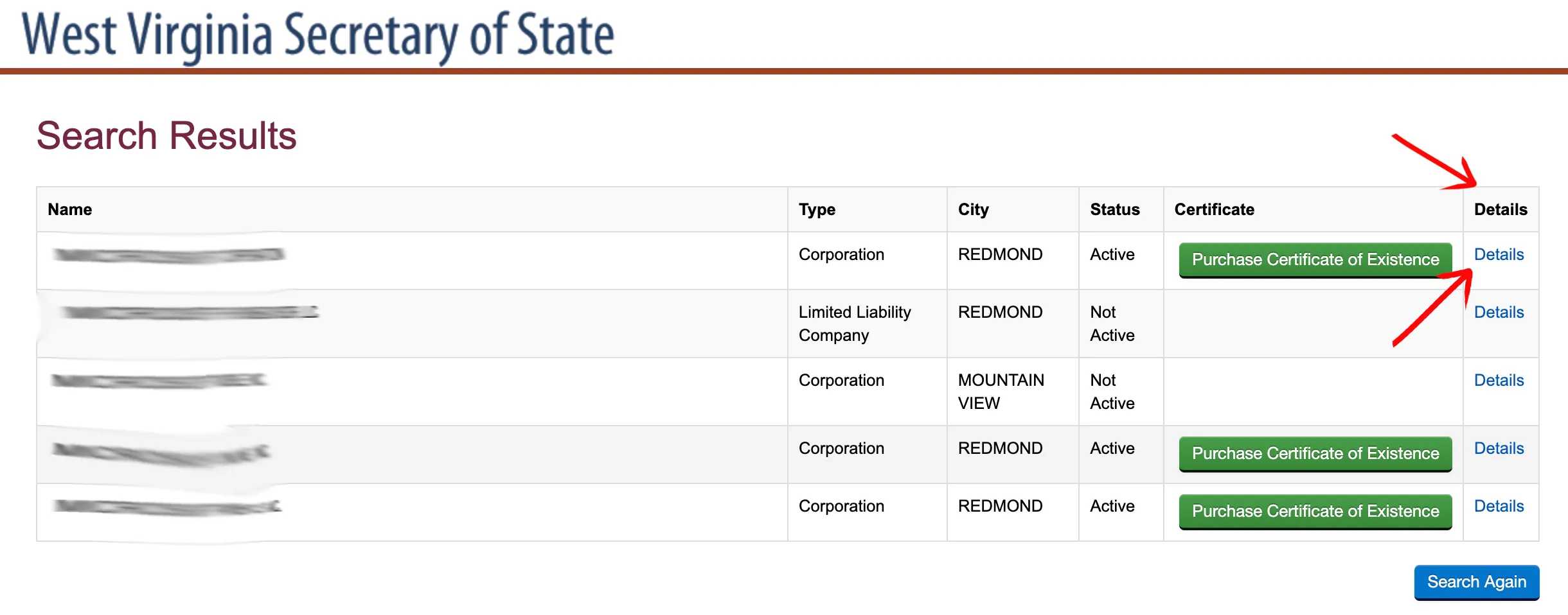 West Virginia business search results table showing matching entities and statuses