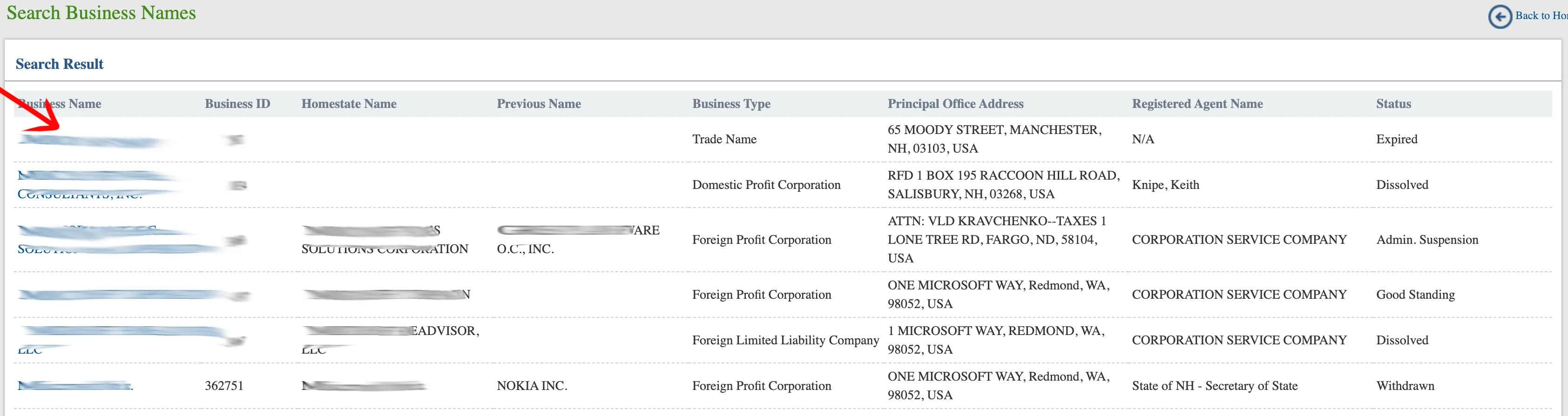 New Hampshire search results table listing business names, IDs, types, and statuses
