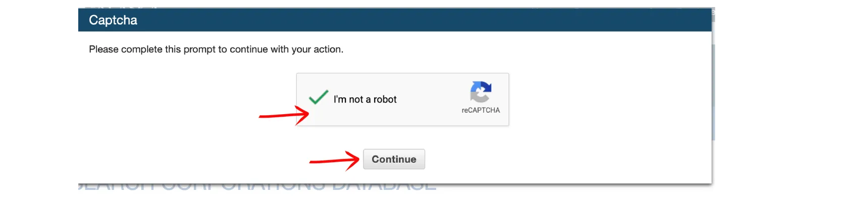 Alaska security verification checkbox
