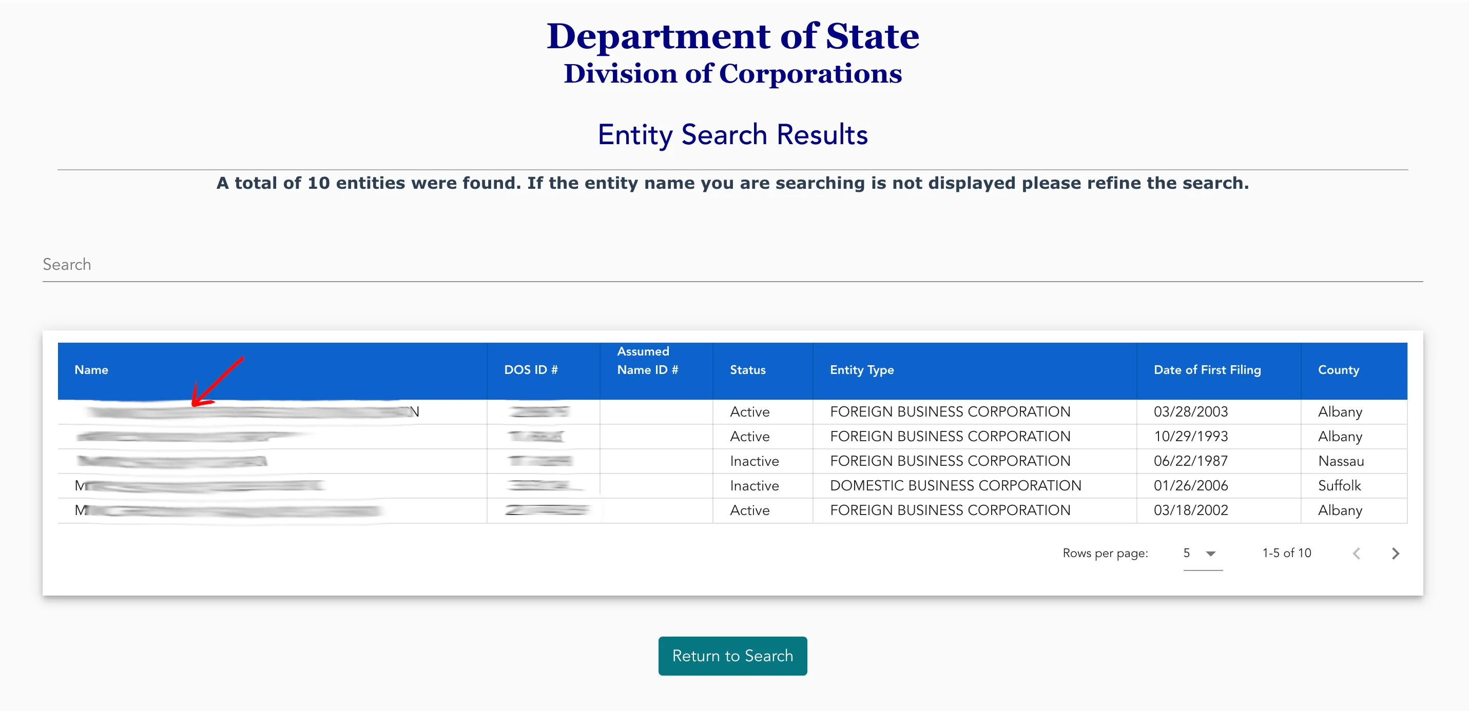 New York search results table listing matching names, DOS IDs, statuses, and types