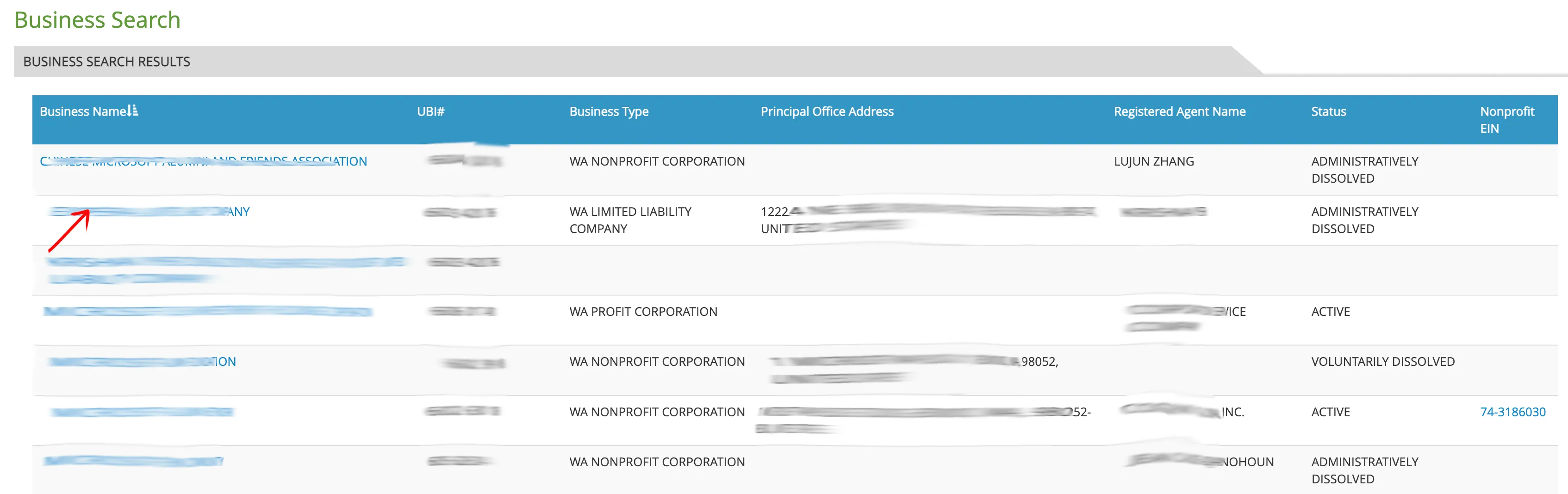 Washington business search results table showing matching entities with UBI and status