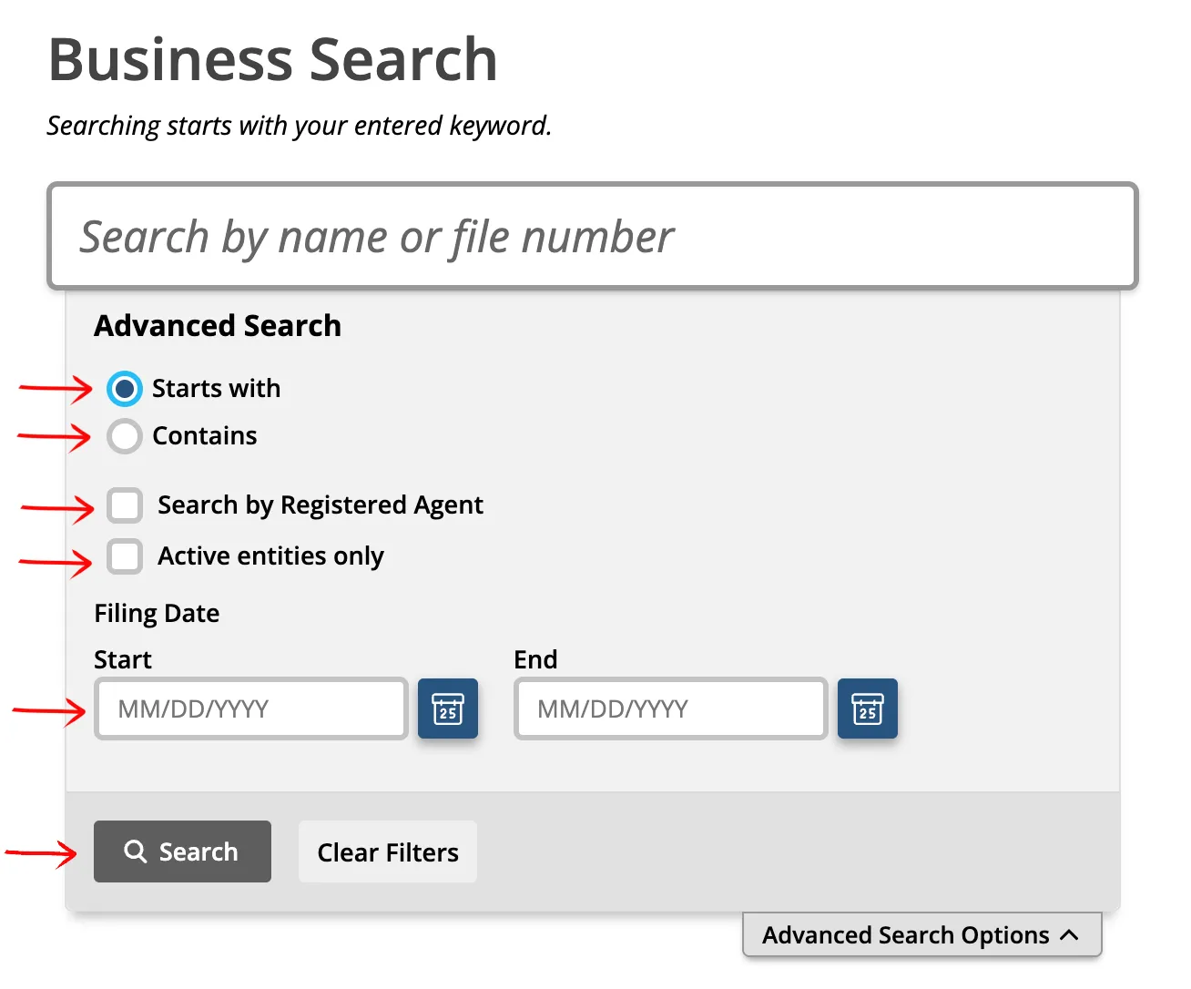 Idaho SOSBiz advanced search options with Starts With, Contains, Registered Agent, active-only, and filing date filters
