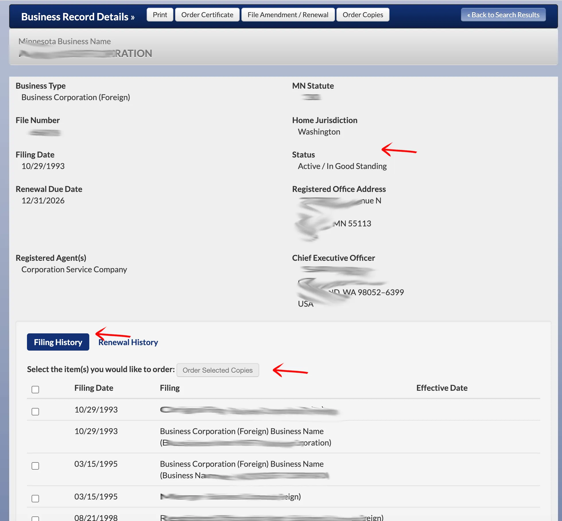 Minnesota Business Record Details page with status details and document order checkboxes