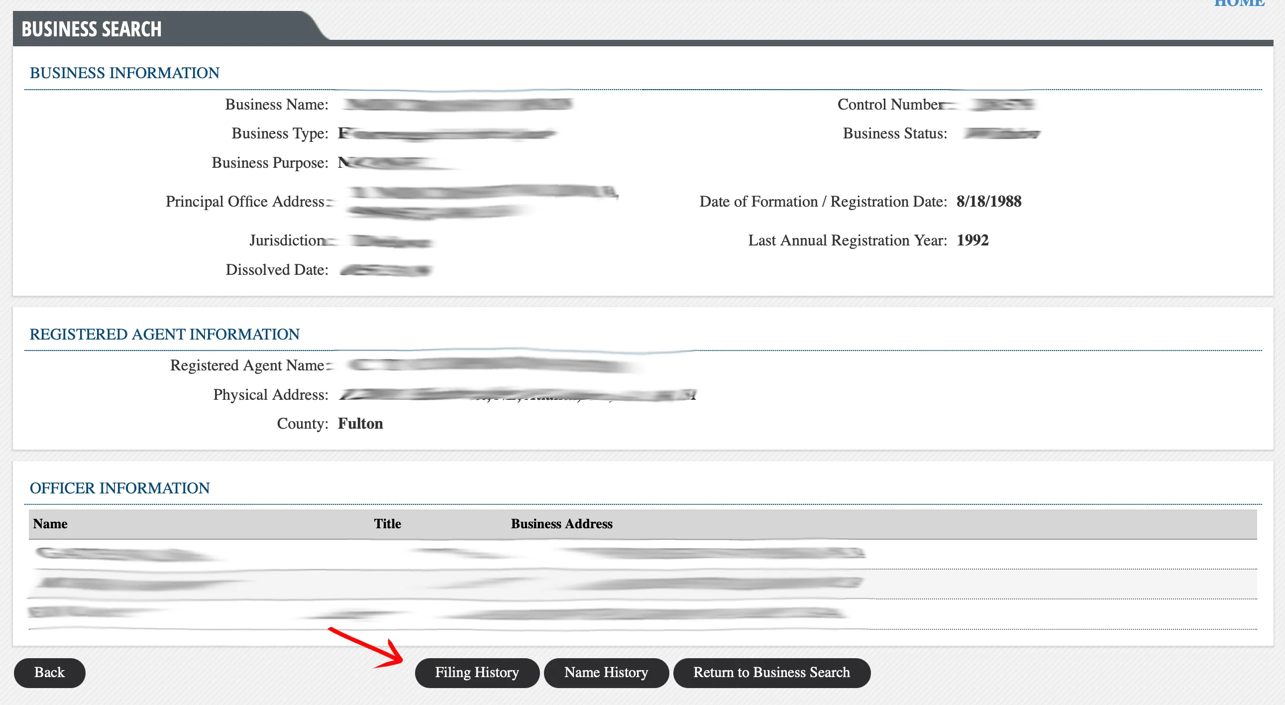 Georgia business entity details page with business information, registered agent, and officer sections