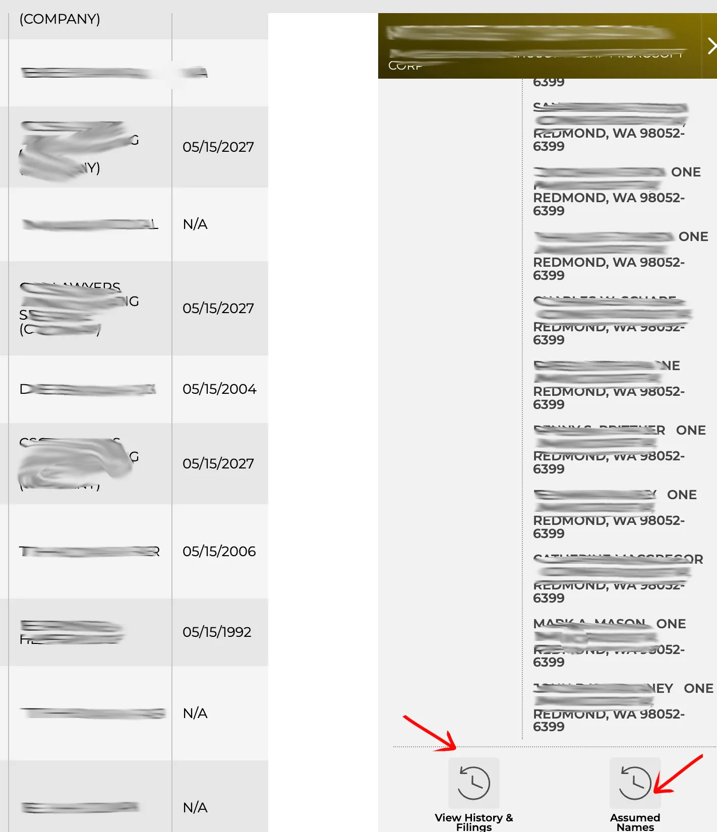 Michigan LARA entity detail slide-out drawer showing business registration facts