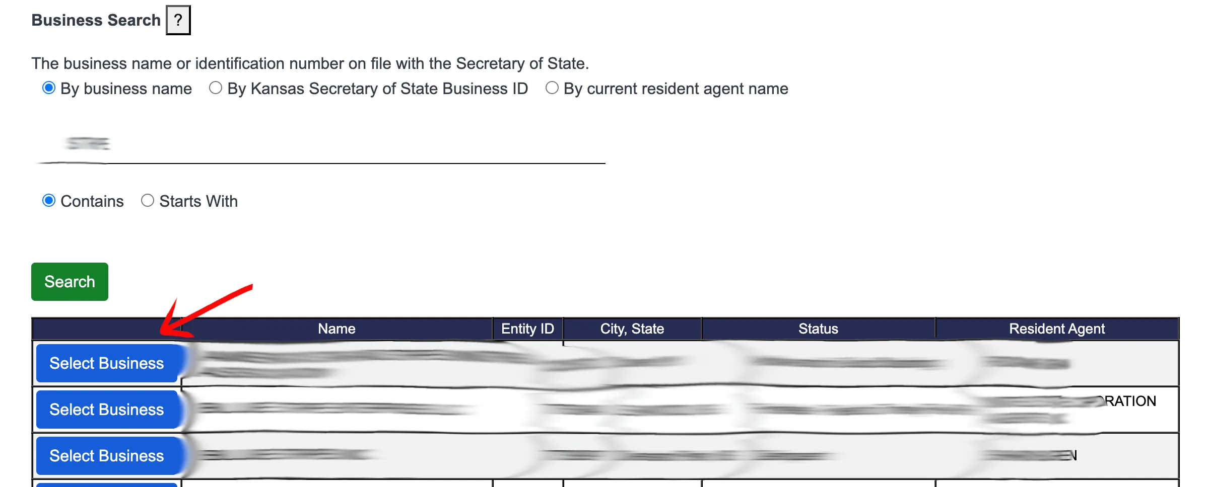 Search results table displaying matching business entity records