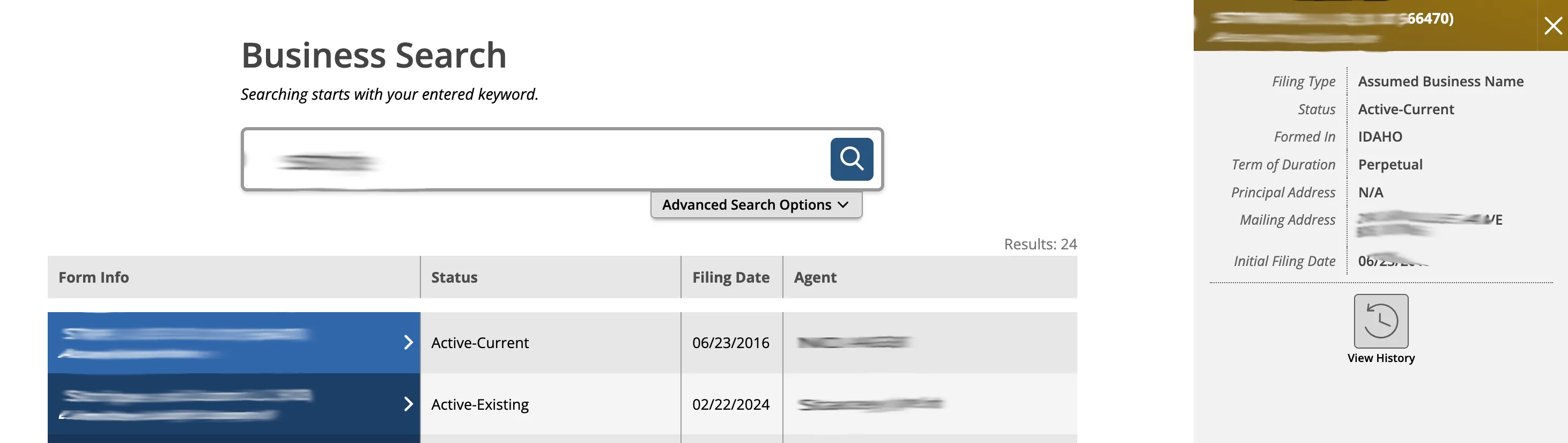 Idaho SOSBiz entity detail panel showing filing type, status, addresses, filing date, and history options